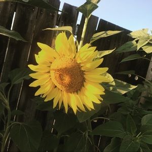 Meet your Posher, Angelina